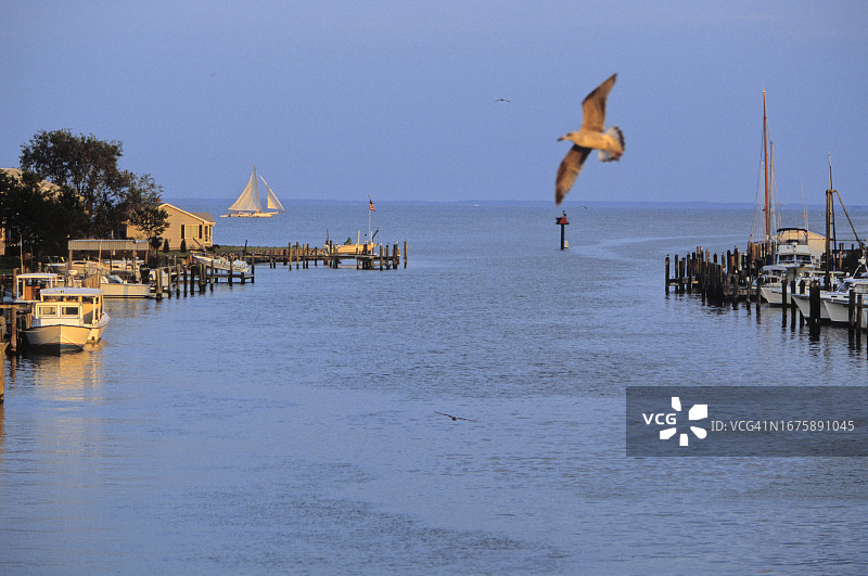 日落时分马里兰州蒂尔格曼岛的海港，背景是单桅帆船图片素材