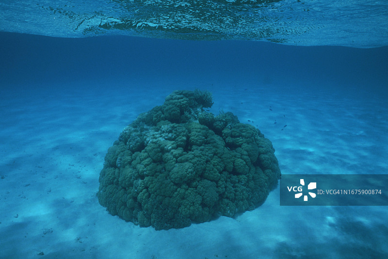 南太平洋-法属波利尼西亚图阿莫图群岛图片素材