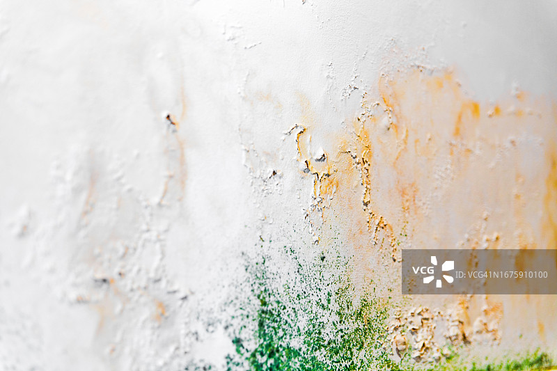 墙壁霉菌特写图片素材