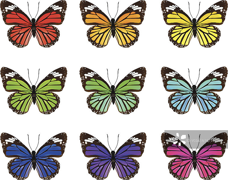 蝴蝶矢量图图片素材