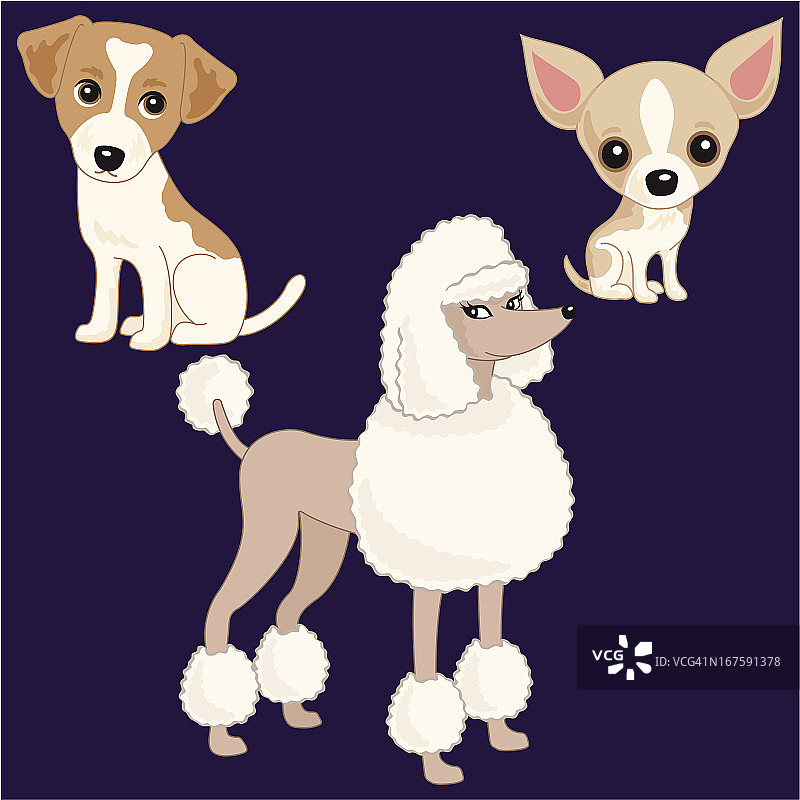 三只狗图片素材