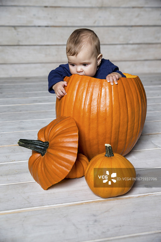 在南瓜里的可爱女婴图片素材