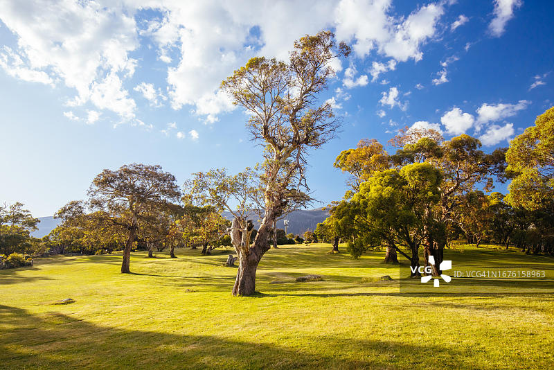 新南威尔士科修斯科国家公园的克拉肯巴克湖飞盘高尔夫球场图片素材