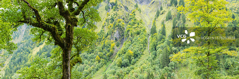 德国巴伐利亚奥伊塔勒山谷山林图片素材