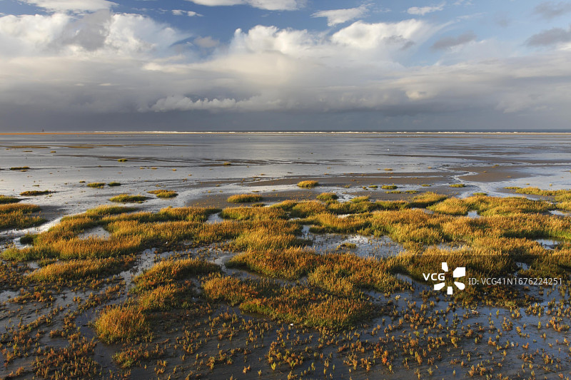 明瑟纳奥格岛北部泥滩景观，下萨克森瓦登海国家公园盐沼，德国下萨克森州图片素材