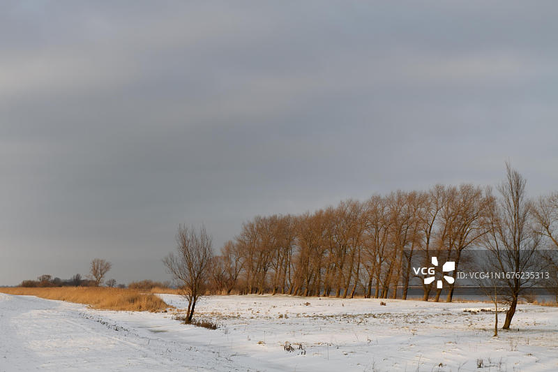 德国下萨克森州韦悉马什地区韦悉河畔的冬天图片素材