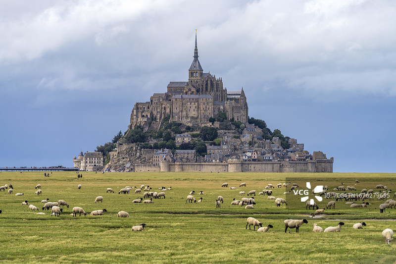 法国诺曼底圣米歇尔山修道院前的绵羊图片素材
