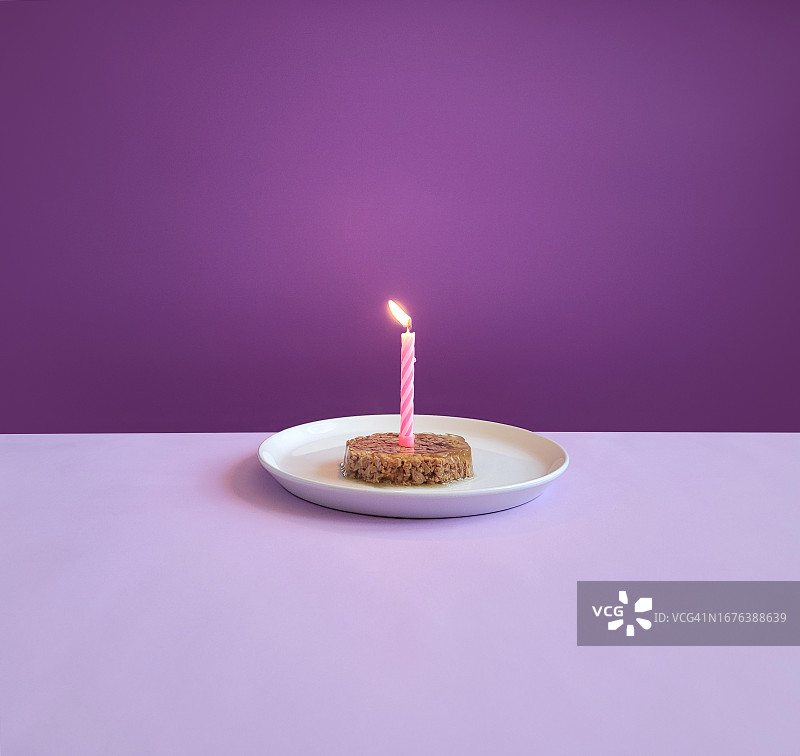 宠物猫狗生日蛋糕，含蜡烛图片素材