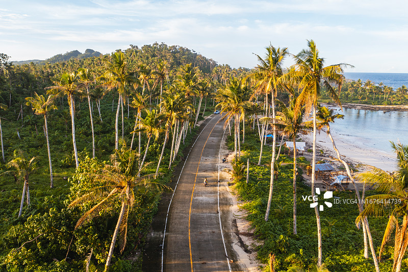 菲律宾棕榈树间的沿海公路图片素材