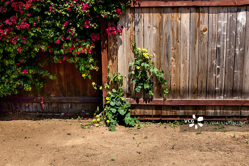 鲜花木栅栏图片素材