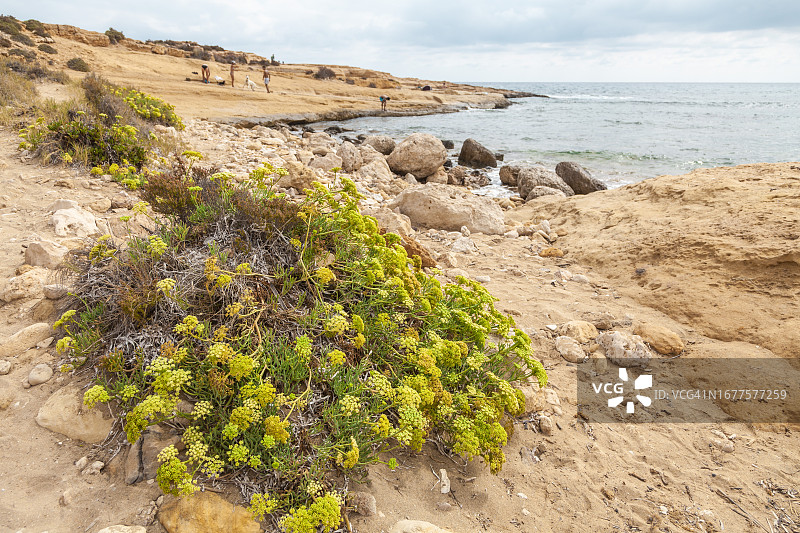 加塔角自然公园罗达尔基拉尔的普拉亚佐海滩图片素材