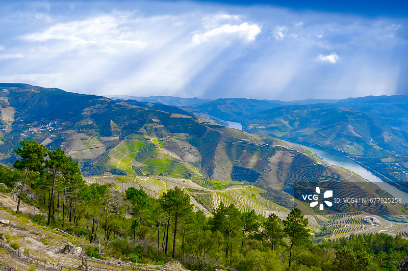 杜罗河谷图片素材