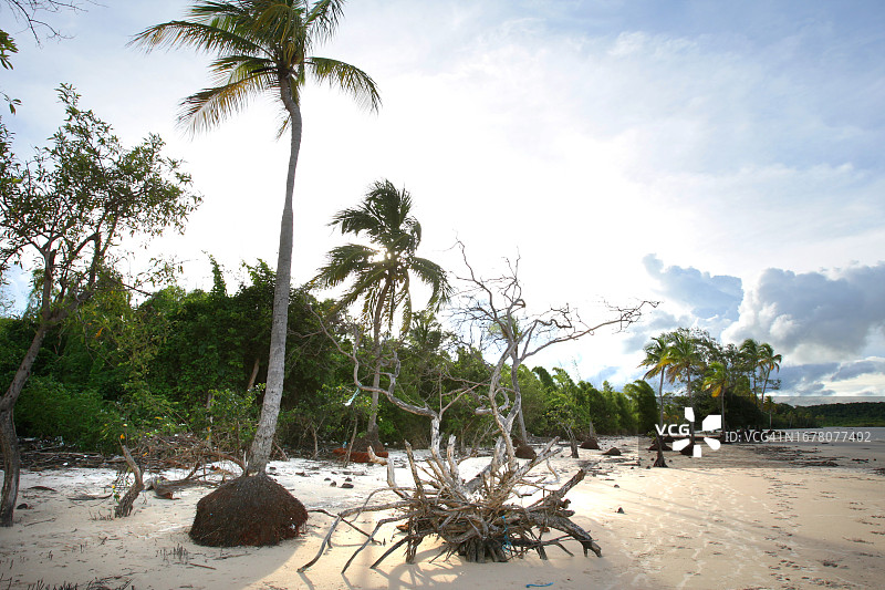 Marajó巴西亚马逊岛图片素材