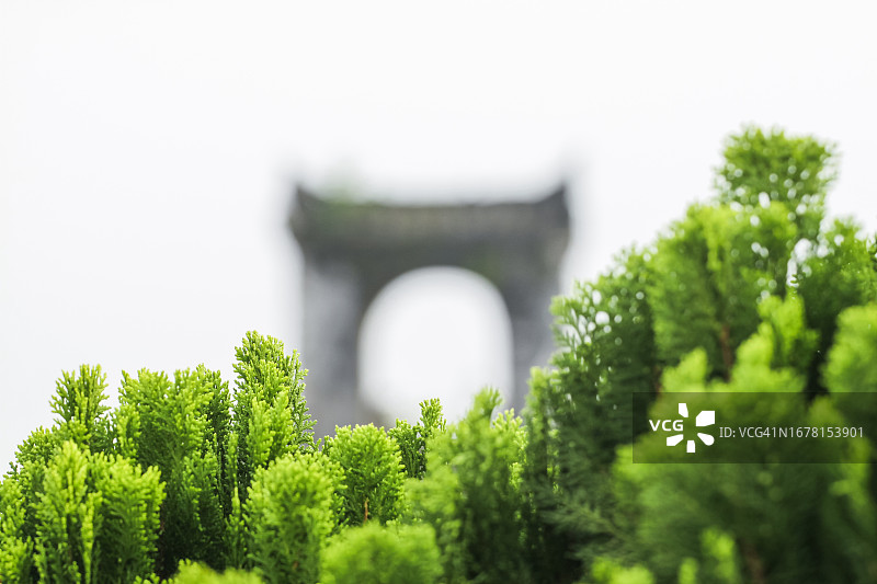 透过雪松树叶看到的拱形寺庙大门图片素材