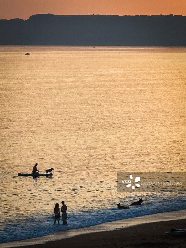 男人和狗一起划桨板的轮廓图片素材
