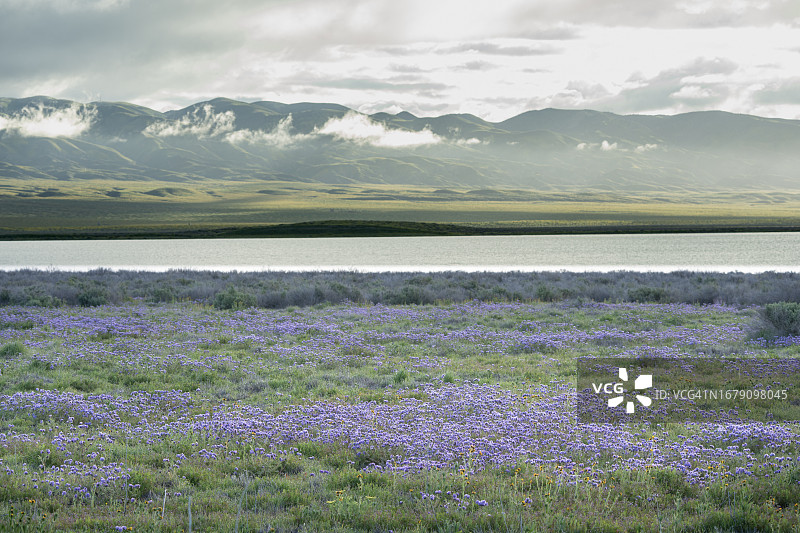 卡里佐平原的苏打湖图片素材