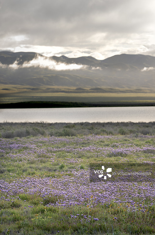 卡里佐平原的苏打湖图片素材