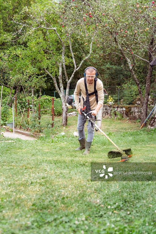 夏日里在花园里除草的中年男人图片素材