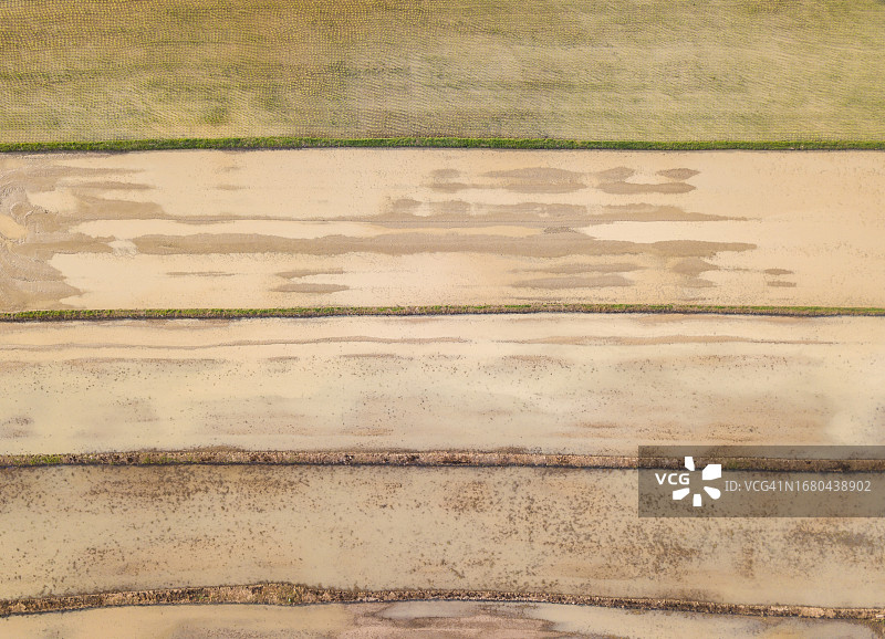 泰国清莱府种植季前的稻田鸟瞰图片素材