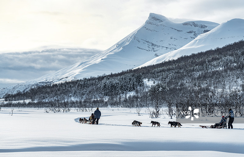 人们在雪地里玩狗拉雪橇图片素材
