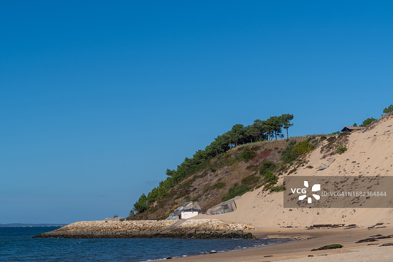 阿基坦法国皮拉沙丘顶部的海滨树林图片素材