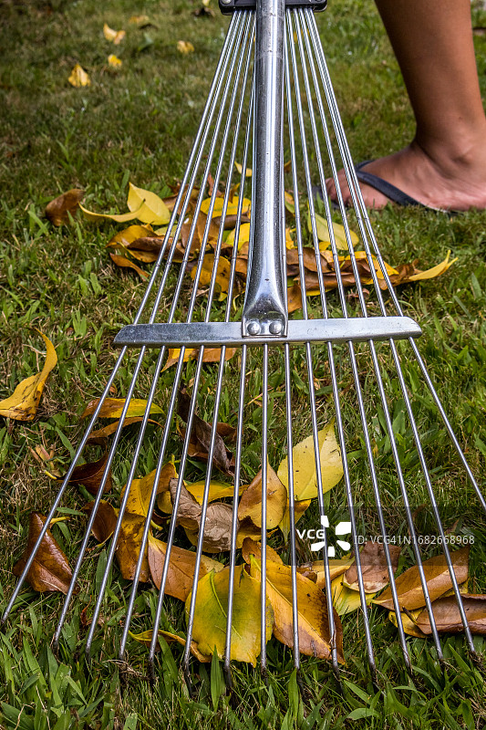 男孩用耙子收集树叶特写图片素材