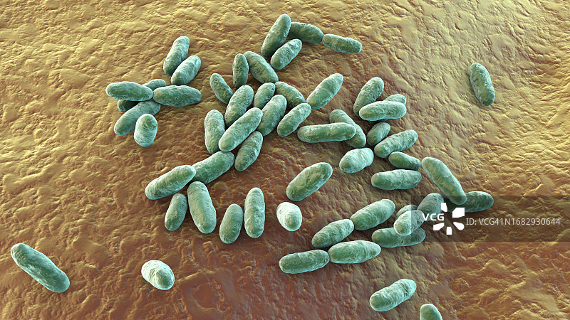 气单胞菌插画图片素材