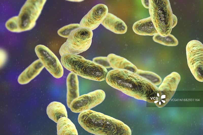 气单胞菌插画图片素材