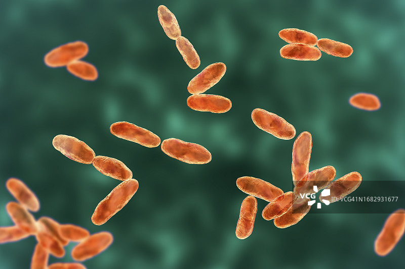 气单胞菌插画图片素材