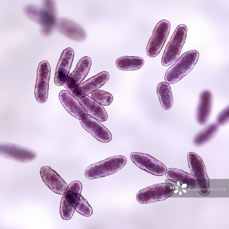 气单胞菌插画图片素材