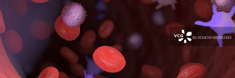 循环血细胞，图示图片素材