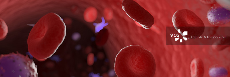 循环血细胞，图示图片素材