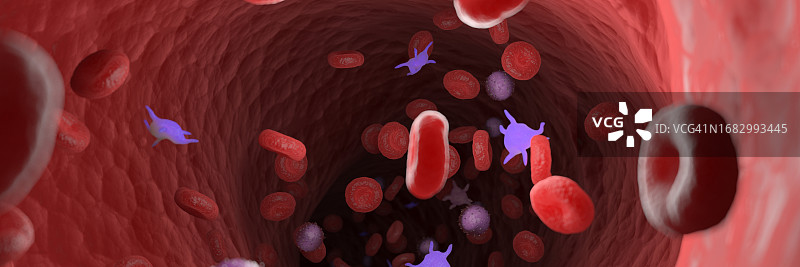 循环血细胞，图示图片素材