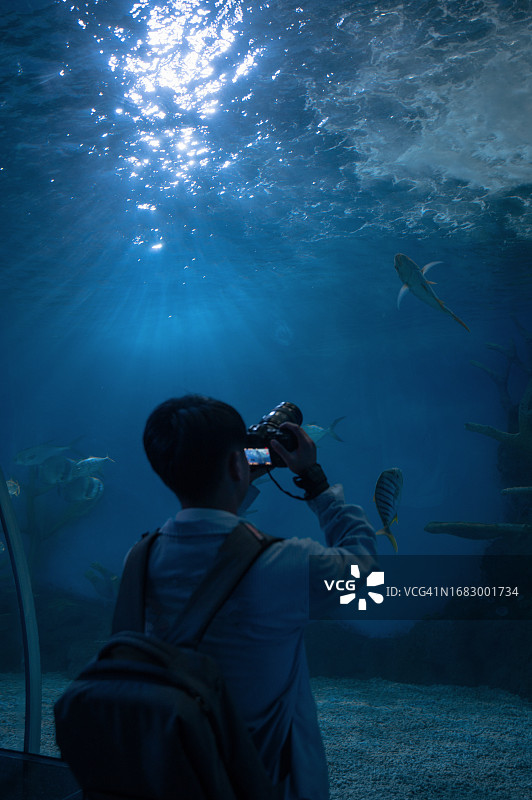 男背包客在水族馆里用相机拍摄海洋生物图片素材