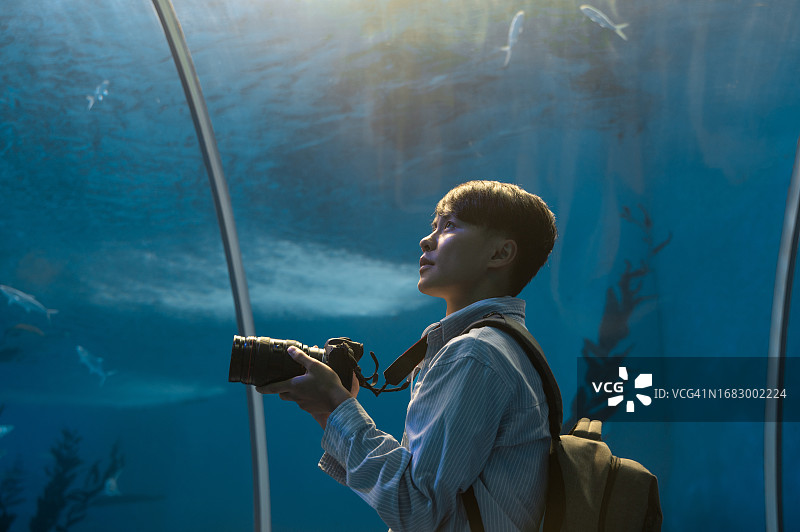 男背包客在水族馆里用相机拍摄海洋生物图片素材