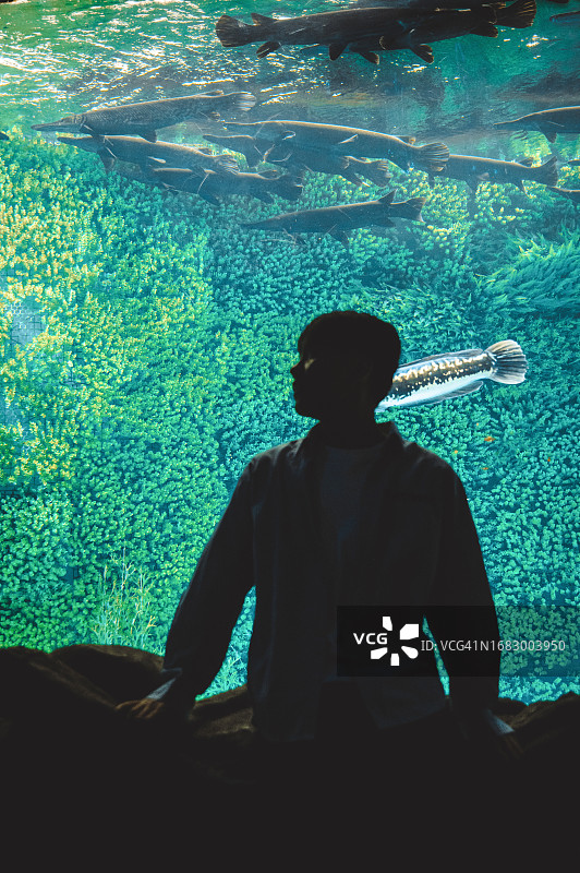 男人倚靠在栏杆上，观察水族馆里的鱼——周末活动，旅行生活，人与生物图片素材