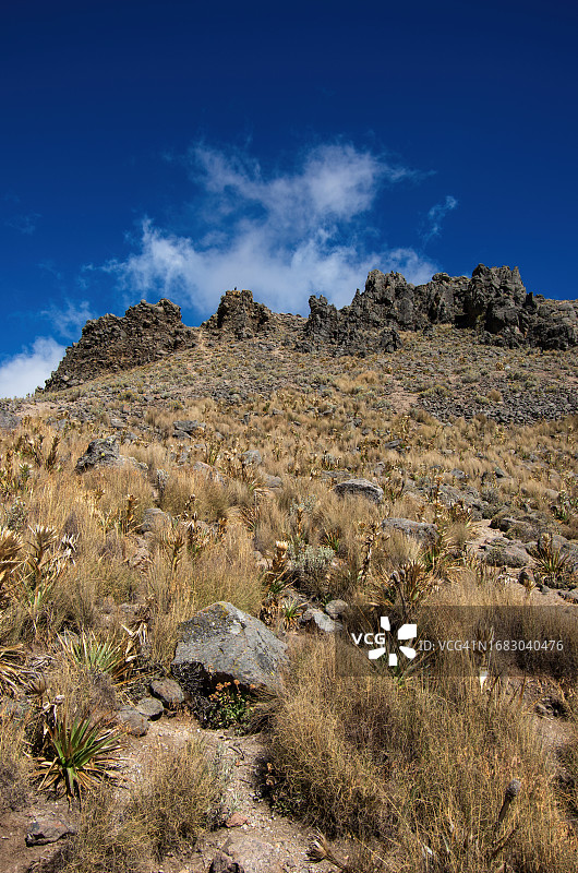 墨西哥托卢卡火山的火山口中的植物群，包括蓝刺头和草图片素材