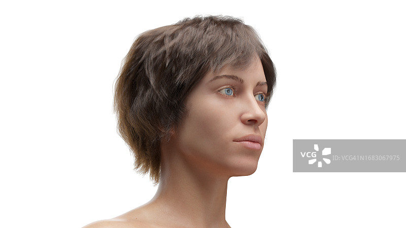 头部插画图片素材