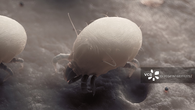 尘螨插画图片素材