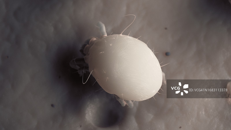 尘螨插画图片素材