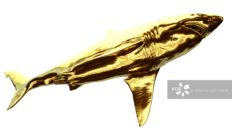 金色鲨鱼插画图片素材