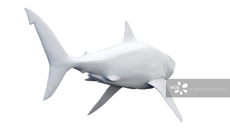 鲨鱼插画图片素材