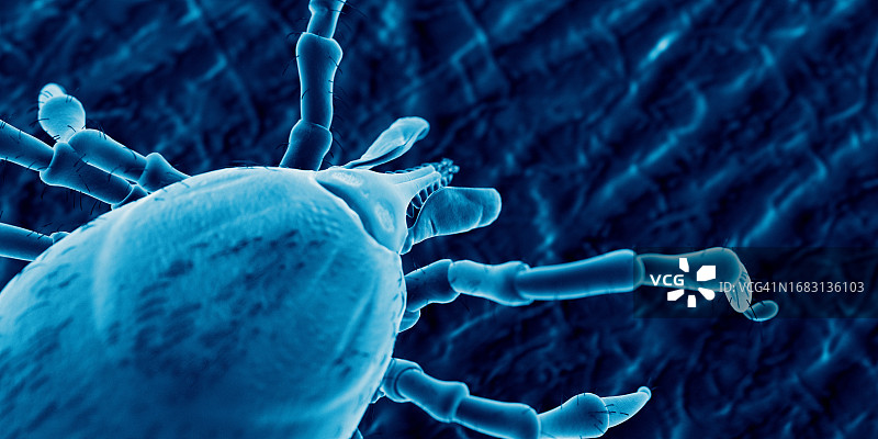 人皮肤上的蜱虫，插图图片素材