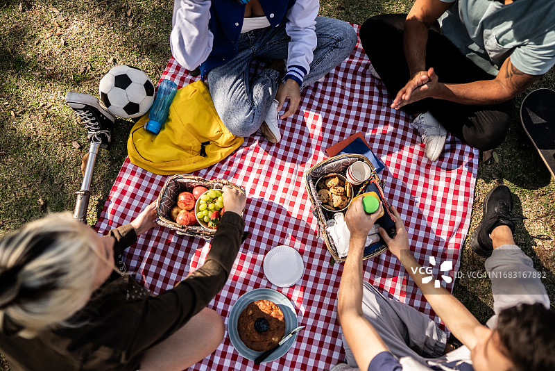 朋友们在公园野餐的俯视照片图片素材