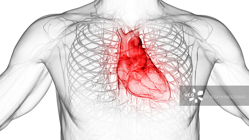 发炎的心脏插图图片素材
