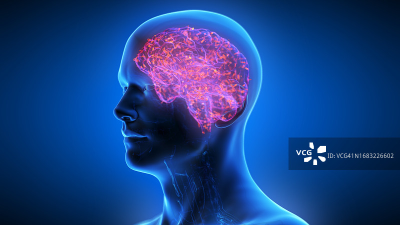 受感染的人脑插图图片素材
