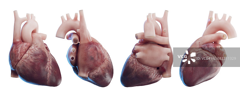 心,说明图片素材