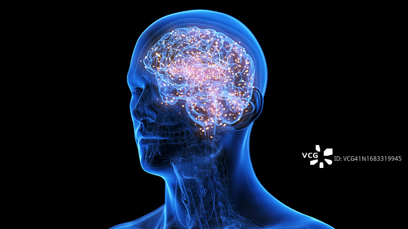 活跃的人脑插图图片素材