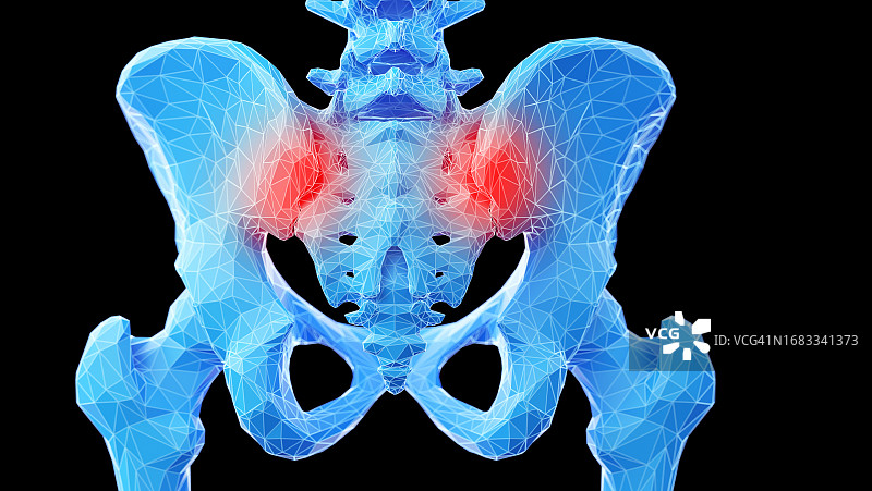 髋骨插画图片素材