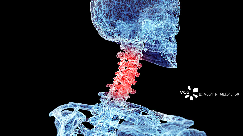 颈椎骨骼图图片素材